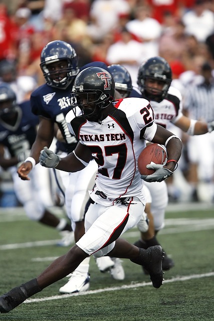 林高远在关 林高远在关