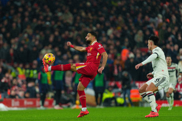 种不同寻常 种不同寻常